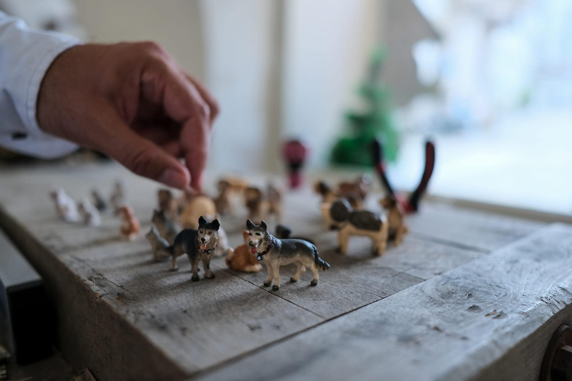 Winzige geschnitzte Tierfiguren – Hunde, Kühe, Pferde – auf einer verwitterten Holzplatte im Fensterlicht.